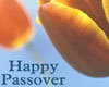 Passover Pictures