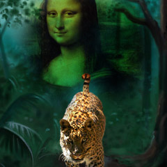 Leopard in the Jungle
