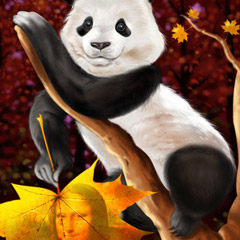 Panda on Tree
